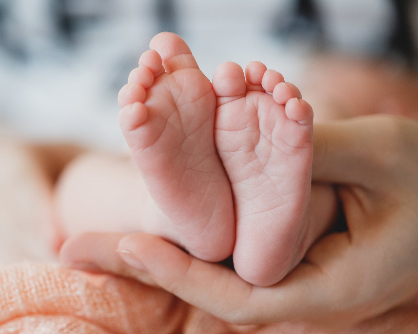 Les pieds d’un nouveau-né dans la main de sa mère